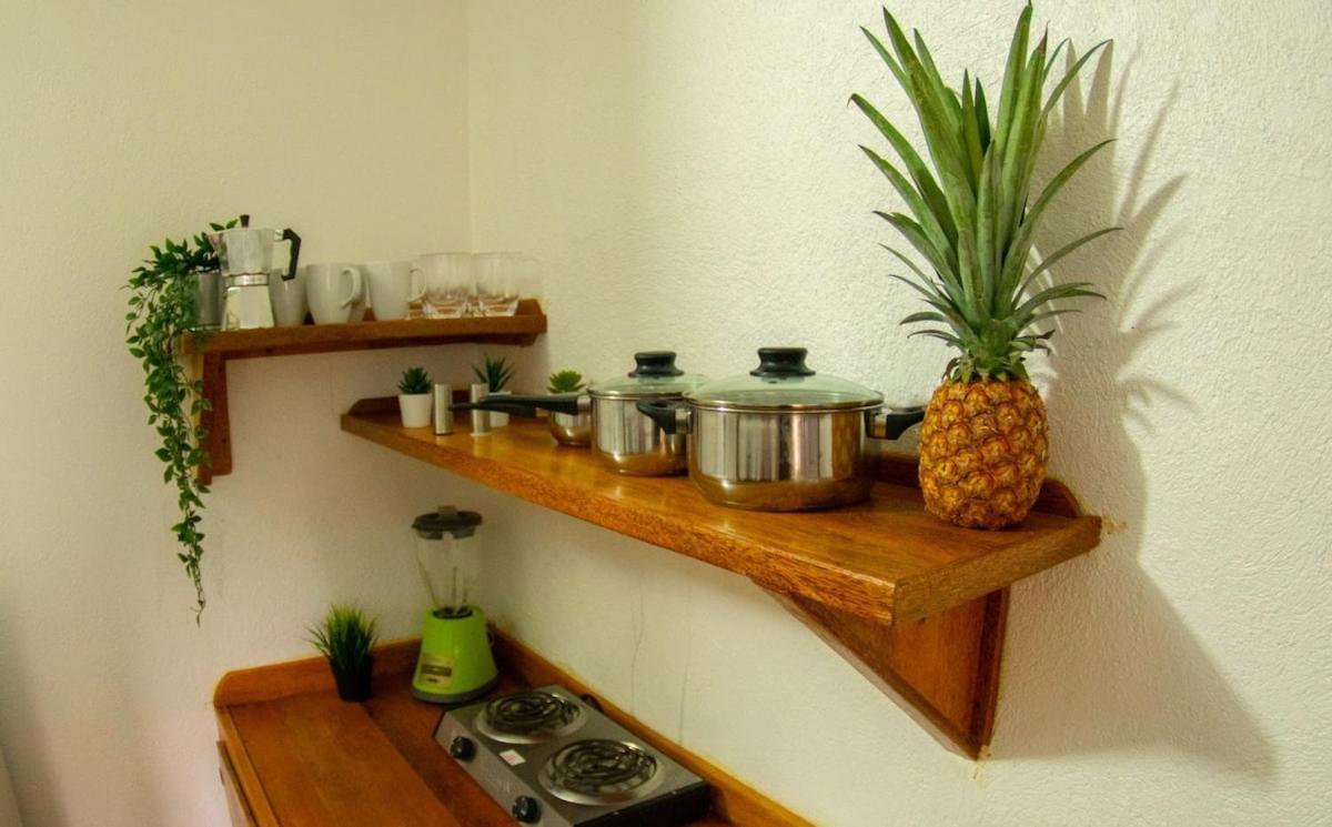 El Jardin Del Coco, Apartamento 14 - Near La Playita Beach Las Galeras Bagian luar foto